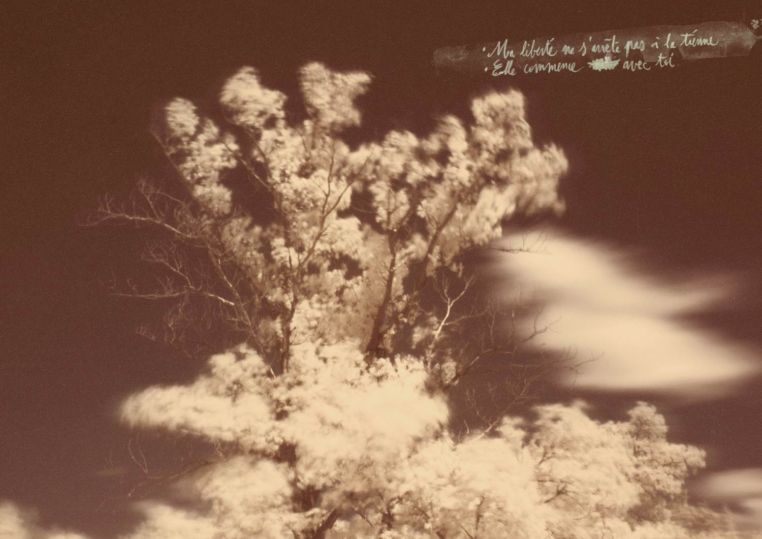 Indocile-livret-liberté