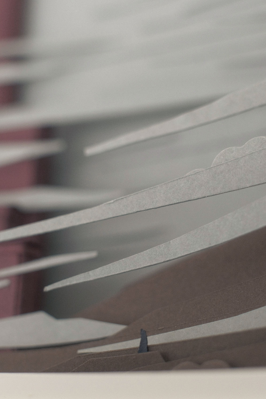 The Sleeping Towers — Paper Dublin