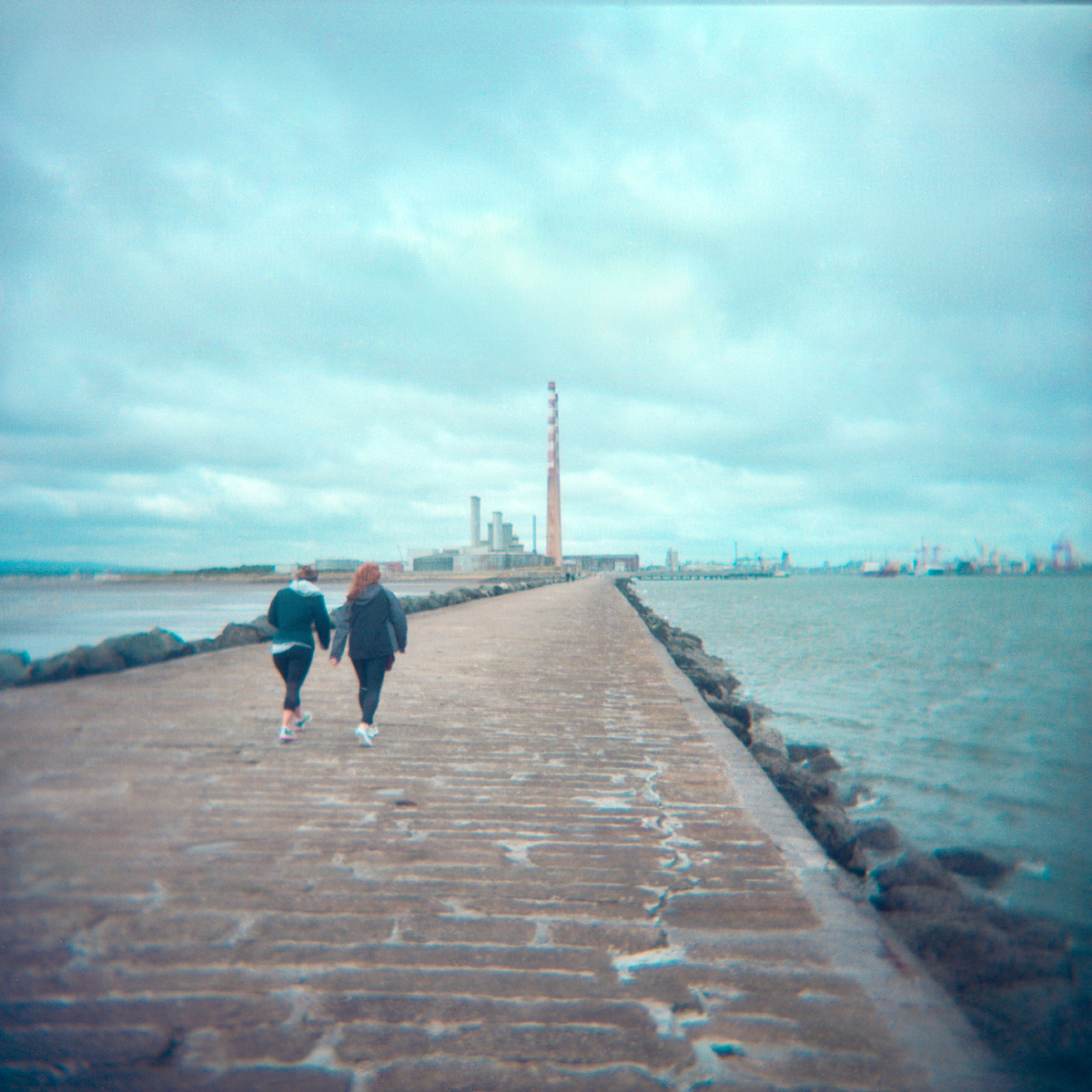 harbor052web