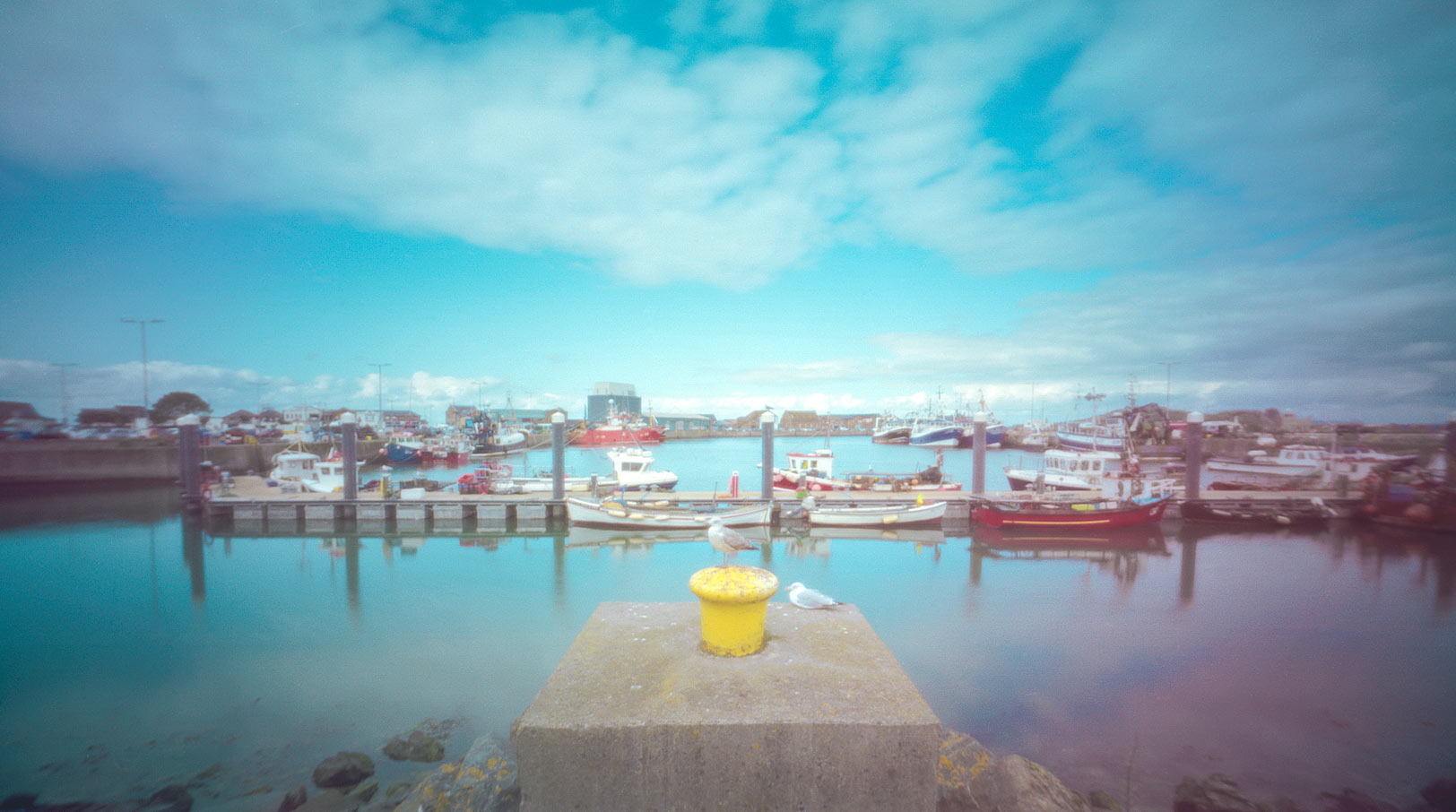 harbor060web