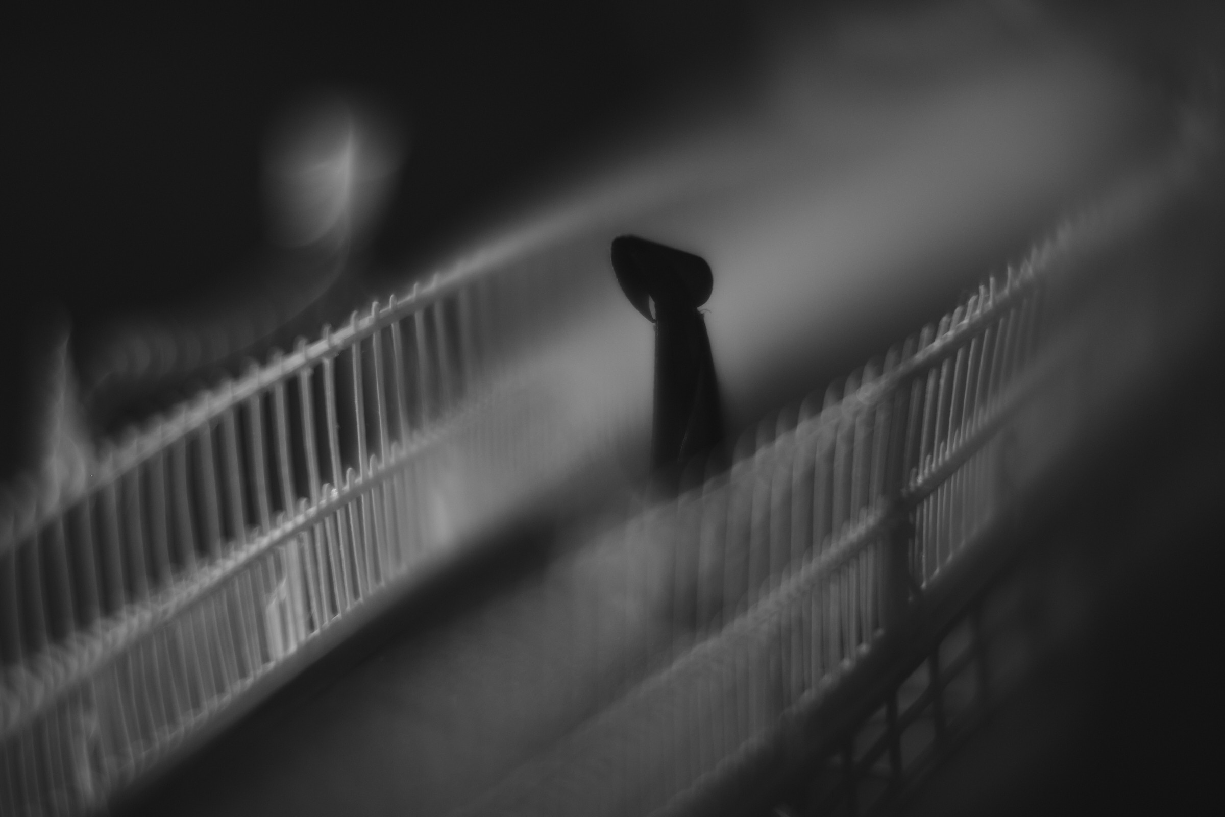 Lorenzo Papace 2026 — Ha'penny Bridge No.1